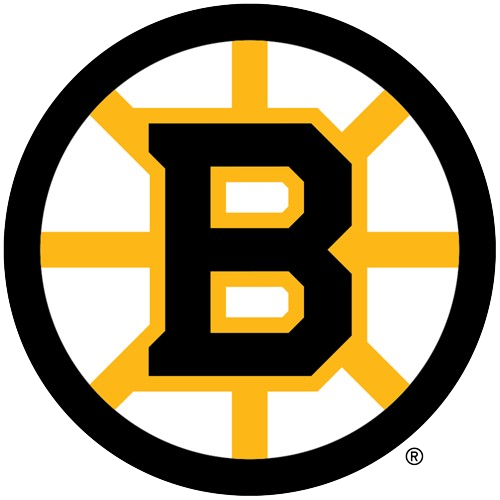 Boston Bruins Logo